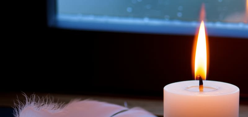 Modelo O Amparo — design contemplativo para especialistas em luto